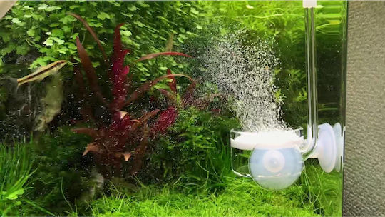 Glas Lilienrohr Beetle Flat Co2 Diffusor 50mm