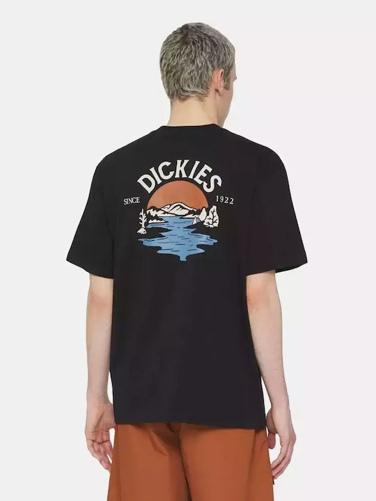 Dickies T-shirt Black