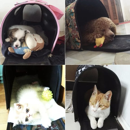 Dog/Cat Carrying White Shoulder Bag for 7kg Pets L21xW40xH27cm