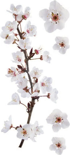 Dekorativer Aufkleber Wand Photographic Blossom 1Stück 45x35cm Ango Dekorativer Aufkleber Wand Photographic Blossom 1Stück 45x35cm Ango