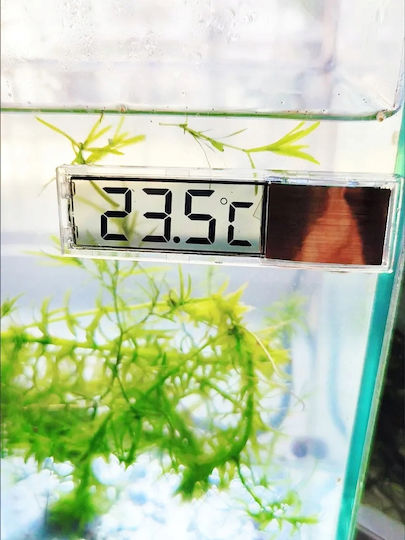 Aquarium Thermometer Aquarium Suction Cup Battery Outdoor Terrarium