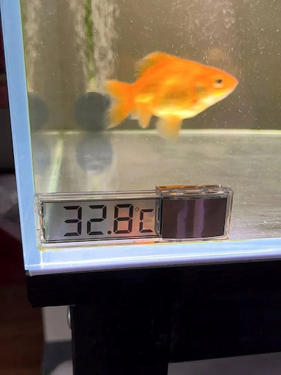 Aquarium Thermometer Aquarium Suction Cup Battery Outdoor Terrarium