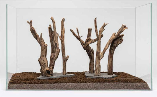 Aber Aquatic Aquarium Ornament Wooden