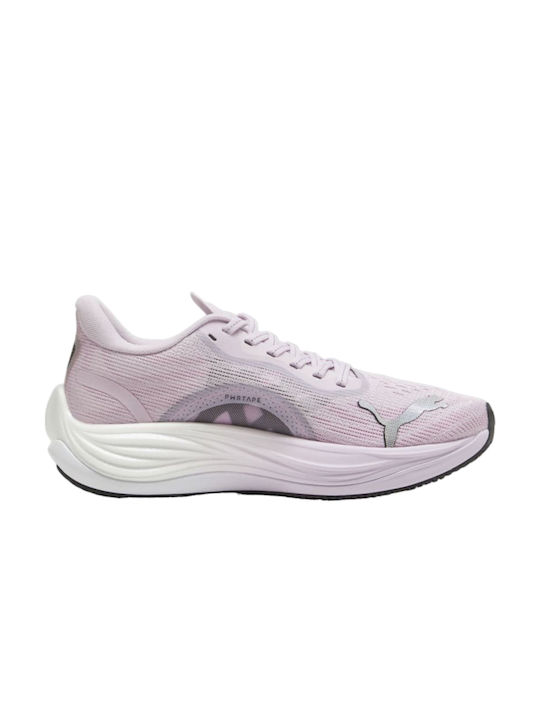 Velocity Nitro 3 Γυναικεία Αθλητικά Παπούτσια Running Ροζ