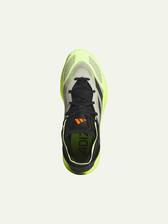 Adidas Adizero Select 2.0 Χαμηλά Μπασκετικά Παπούτσια Πολύχρωμα