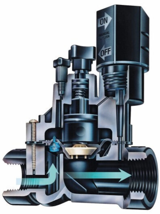 Rainbird Vanele de irigare electrice 24V cu filet Femeie (M/F)