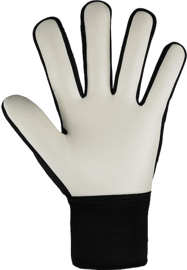 Reusch Attrakt Starter Solid Adults Goalkeeper Gloves Black