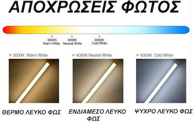 Eurolamp LED Lampen für Fassung GU10 Warmes Weiß 530lm 1Stück