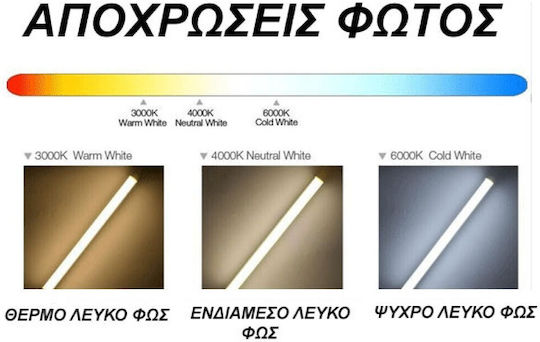 Eurolamp LED Bulb 4W for Socket GU10 and Shape MR16 Warm White 380lm