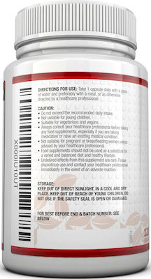 Food Supplement, Nu U Nutriton, Coq10, Antioxidant Effect, Vegan, Lactose Free, 120 Capsules