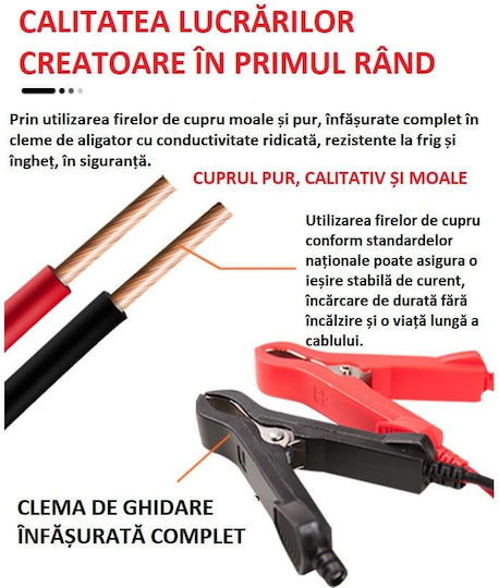 Încărcător Baterie Auto & Motocicletă 12V