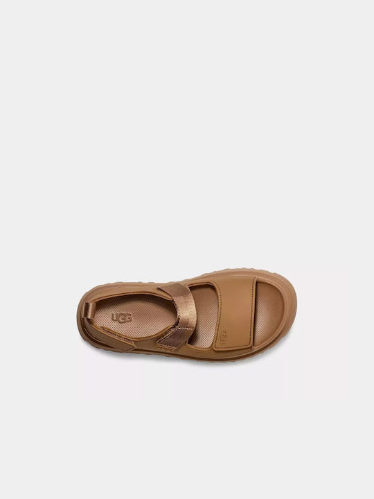 Women's Flat Sandals in Brown Color Regular Fit