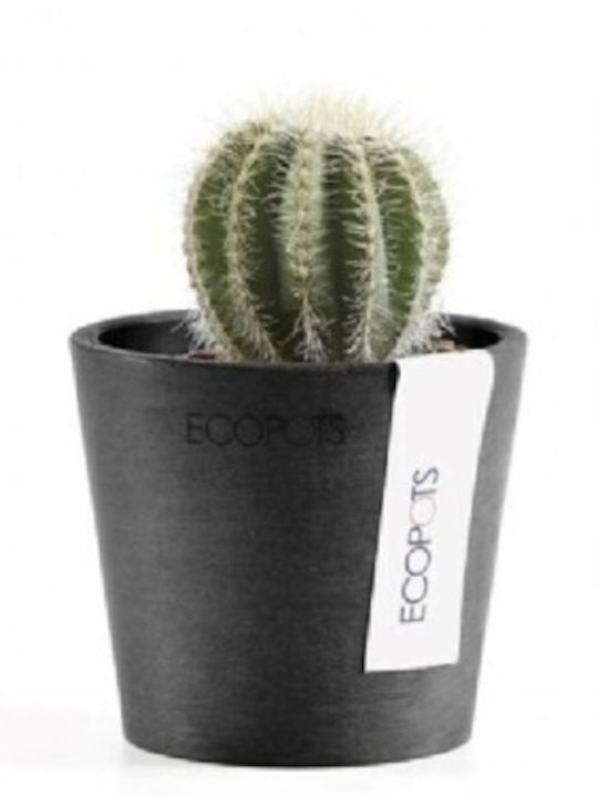 Ecopots Amsterdam Pot Black 10.5x10.5x9.2cm