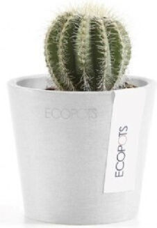 Ecopots Amsterdam Plant Pot White Ecopots Amsterdam Plant Pot White