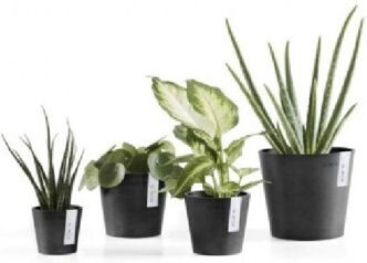 Ecopots Amsterdam Planter Black 13x13x11.4cm.