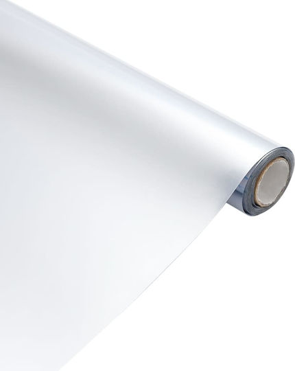 vidaXL Oglindă de Baie din Plastic 60x100cm Transparent
