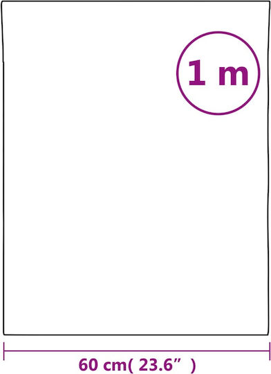 vidaXL Oglindă de Baie din Plastic 60x100cm Transparent