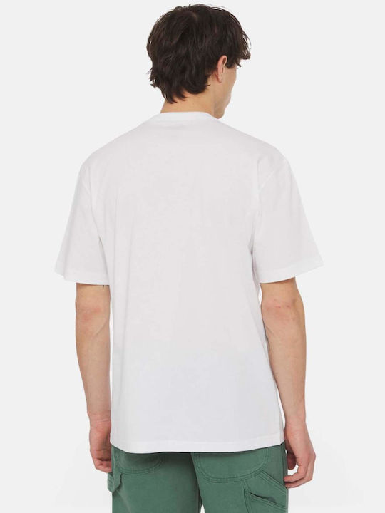 Dickies Dickies