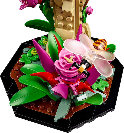 LEGO Ideas The Insect Collection για 18+ Ετών 1111τμχ