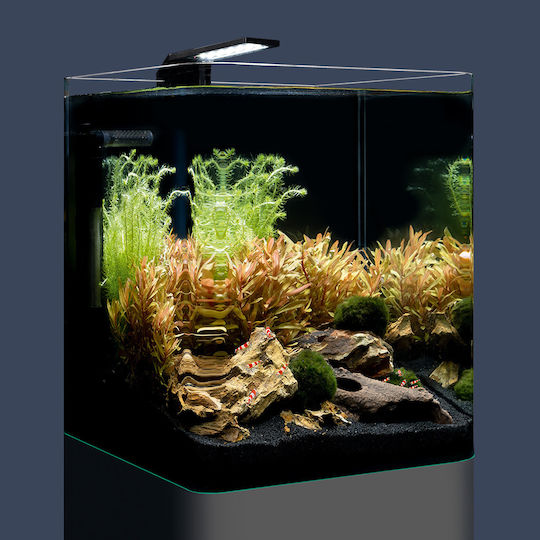 Dennerle Nano Cube Basic Fish Aquarium Capacity 20lt with Lighting, Filter and 25x25x30cm Beige