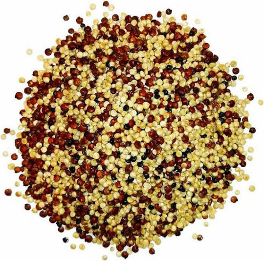 Quinoa Tricolor Seed Peru (quinoa Peru) 1000 Gr