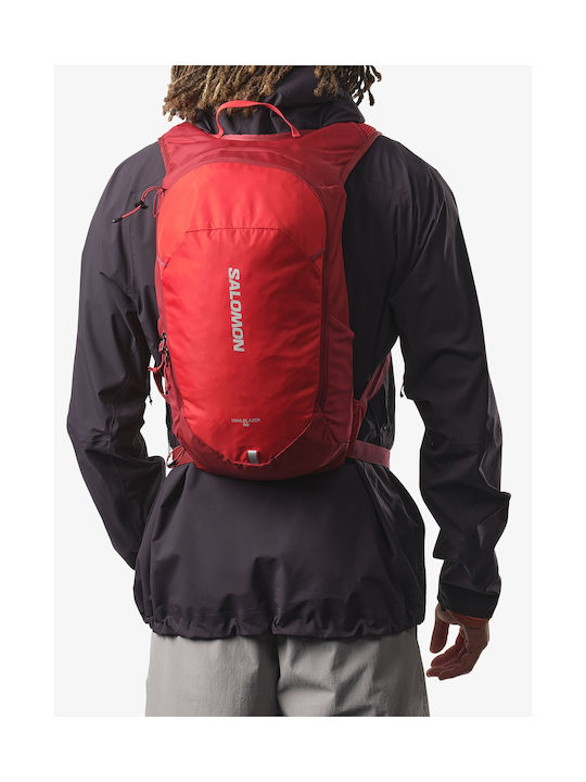 Salomon Trailblazer