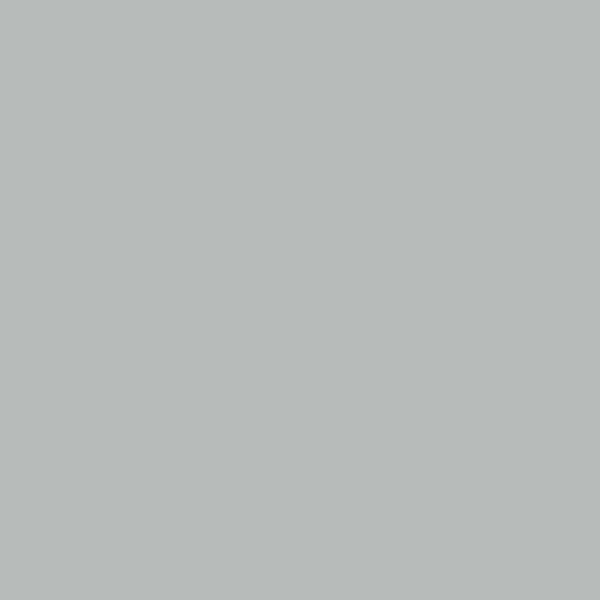 Colorama Φωτογραφικό Φόντο Χάρτινο 272x1100εκ. Mist Grey