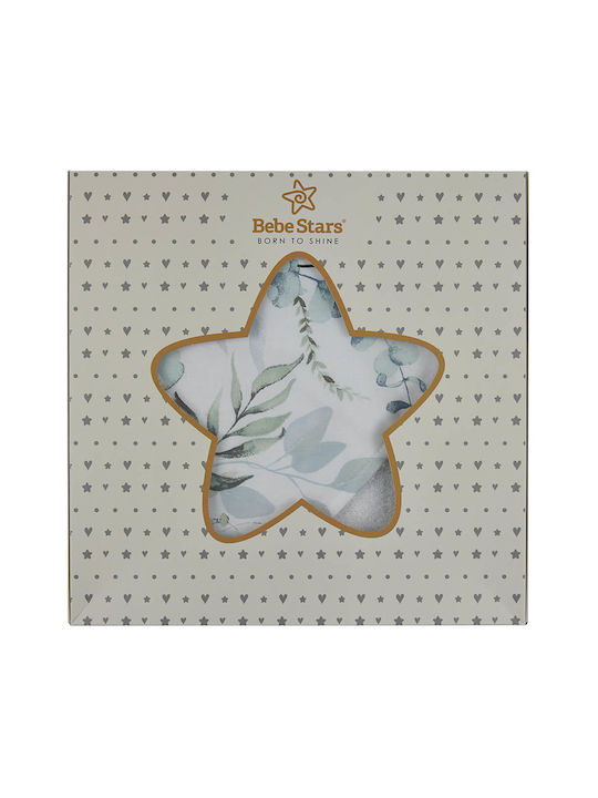 Bebe Stars - Burnousie Cape Nature - 3152