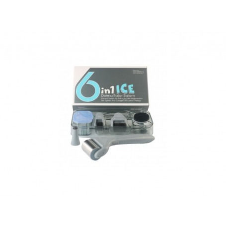 Σετ 6 Σε 1 Ice Derma Roller Με Βελόνες Τιτανίου Για Αντιγήρανση