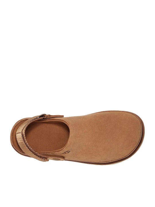 Goldenstar Closed Leather Women's Slippers Brown Regular Fit