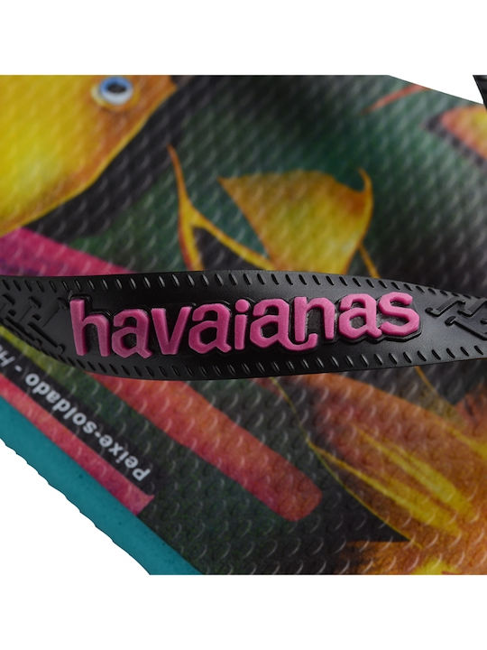 Flip flops Havaianas Conservation International - Black 4119507