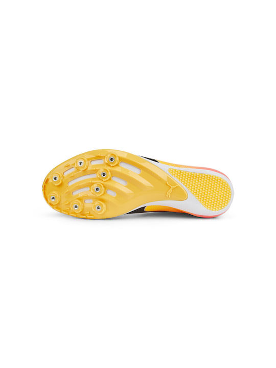 Evospeed Herren Sportschuhe Laufen Gelb