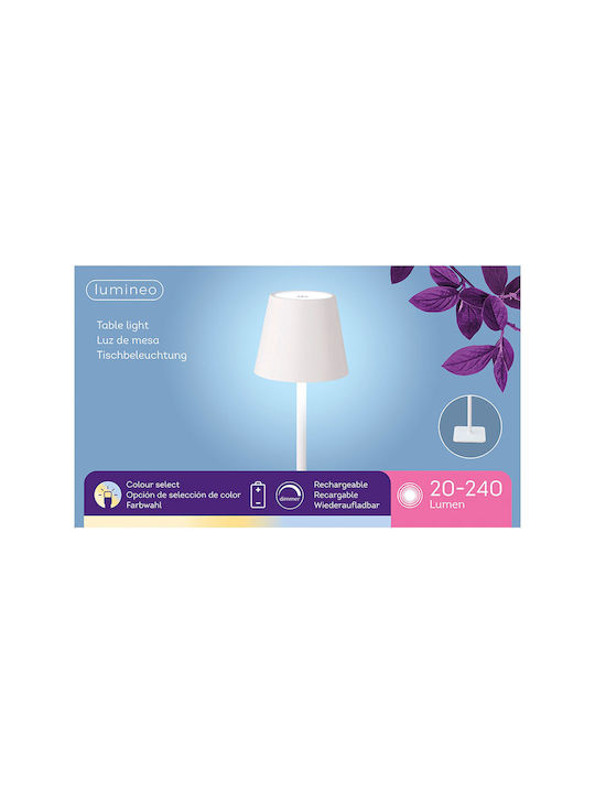 Lumineo Διακοσμητικό Φωτιστικό LED Θερμό Λευκό 11x11x37εκ.