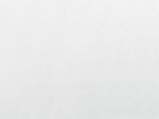 Țesătură pentru Mobilier Piele ecologică White