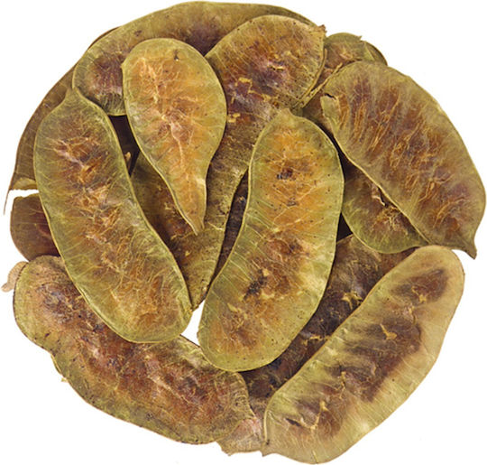 Panora Cassia Senna 500gr