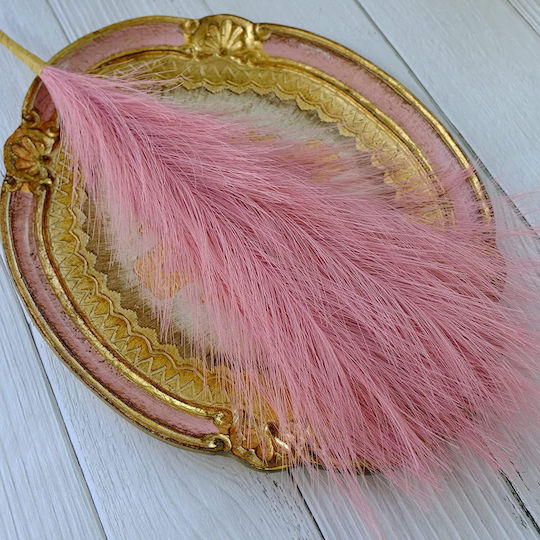 Διακοσμητικό Φτερό Pampas grass Ροζ 43.5cm 3τμχ