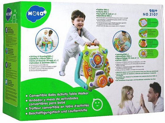 Hola Toys Pentru 9+ Luni Cu Sunete Multicoloră