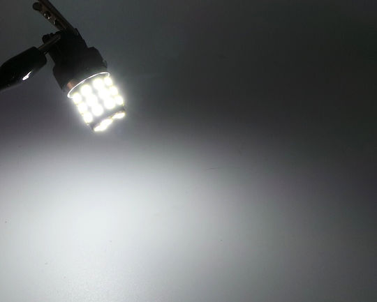 Лампи Автомобила W21W / DRL / W3x16d Canbus LED 5500К Хладно бяло 12V / 24V 1бр