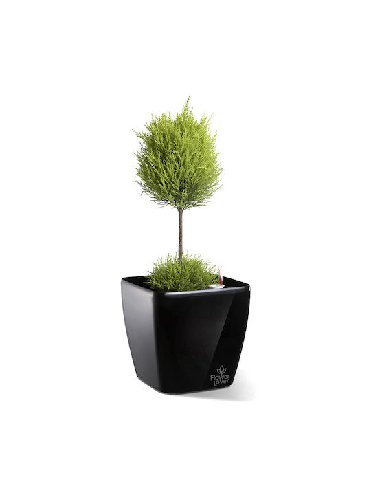 Hydrostab Ghiveci Plastic Glossy Black 22x21x22cm.