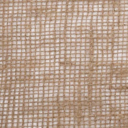 vidaXL 155800 Ground Cover Fabric 200g/m² 5x1m Beige