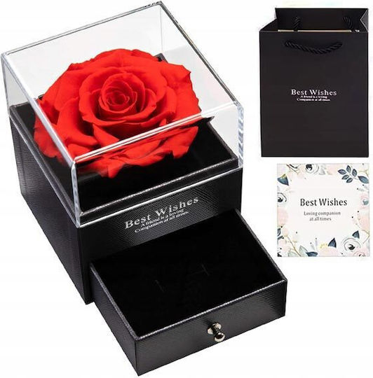 Eternal Rose Red 7cm in Box