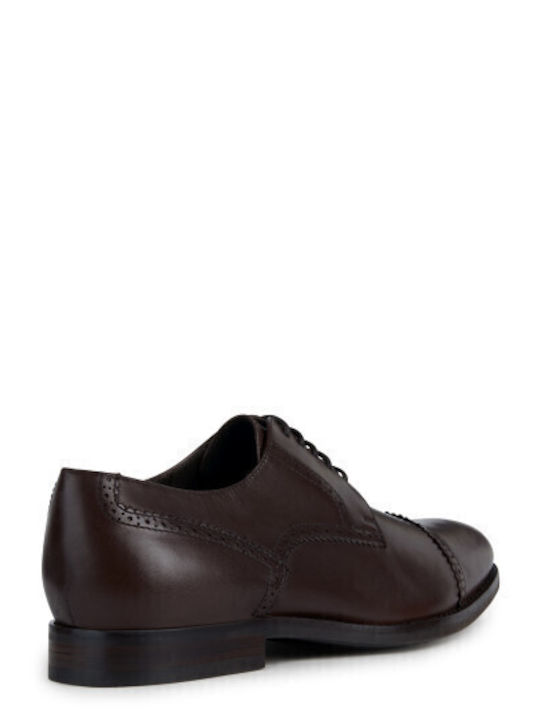 Hampstead Pantofi Oxford Barbati Maro