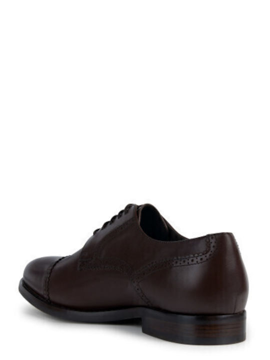 Hampstead Pantofi Oxford Barbati Maro