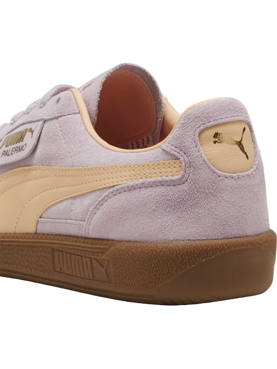 Palermo Sneakers Grape Mist-peach Fizz