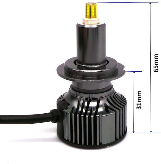 Λάμπες Αυτοκινήτου H7 Canbus LED 5500K Ψυχρό Λευκό 12V / 24V 2τμχ