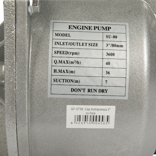 Pompa de apă de suprafață electrică