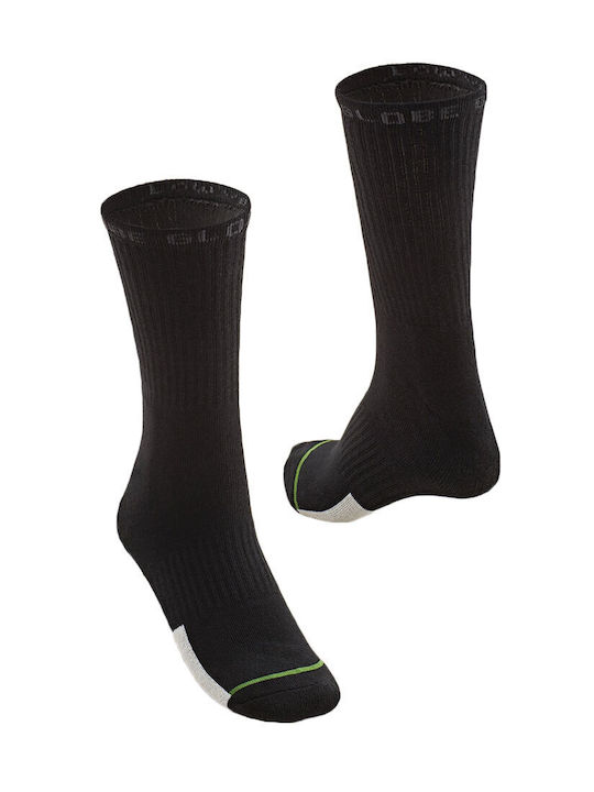 Globe Low Impact Crew Socks 3 Pack Assorted Globe Low Impact Crew Socks 3 Pack Assorted