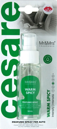 Mr & Mrs Fragrance Lufterfrischer-Spray Auto Zitrone / Zimt / Vanille 50ml 1Stück