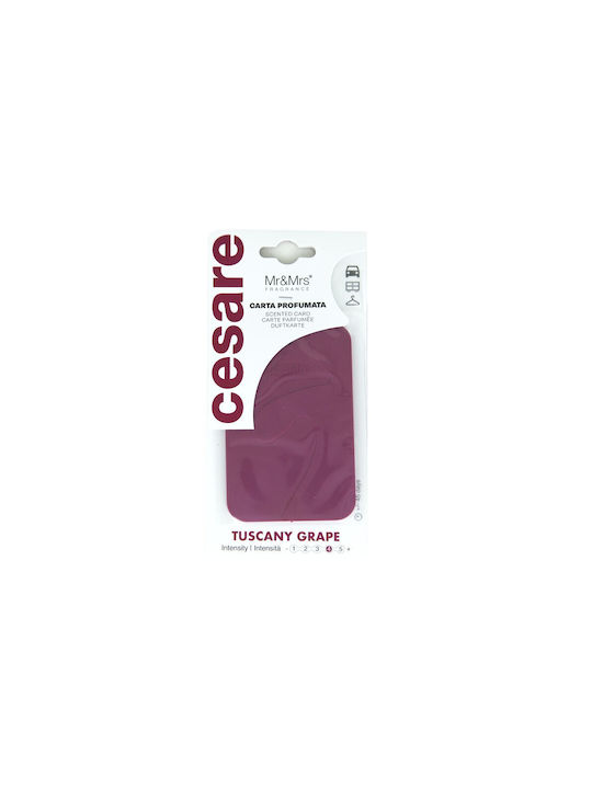 Mr & Mrs Fragrance Duftschrank mit Duft Erdbeere JCESTES009V01