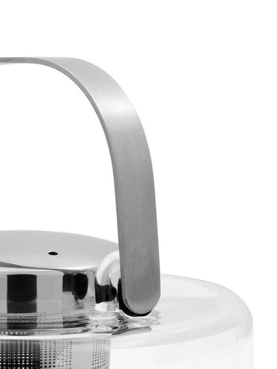 Viva Teeset mit Tasse Transparent 6Stück